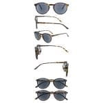 Tortoiseshell - Image 3