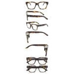 Tortoiseshell - Image 4