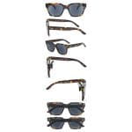 Tortoiseshell - Image 3