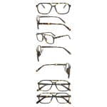 Tortoiseshell - Image 5