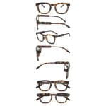 Tortoiseshell - Image 4
