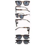 Tortoiseshell - Image 5